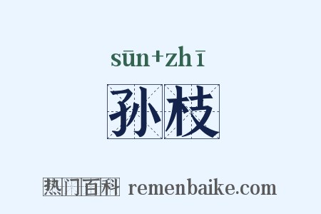 孙枝是什么意思的图片